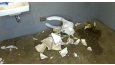 Vandalism at Mickey's Kingdom Playground Prompts Police Investigation