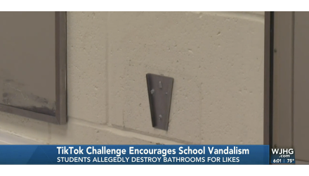 Combating the 'Devious Licks' Trend: Schools and TikTok Respond to Vandalism Challenge