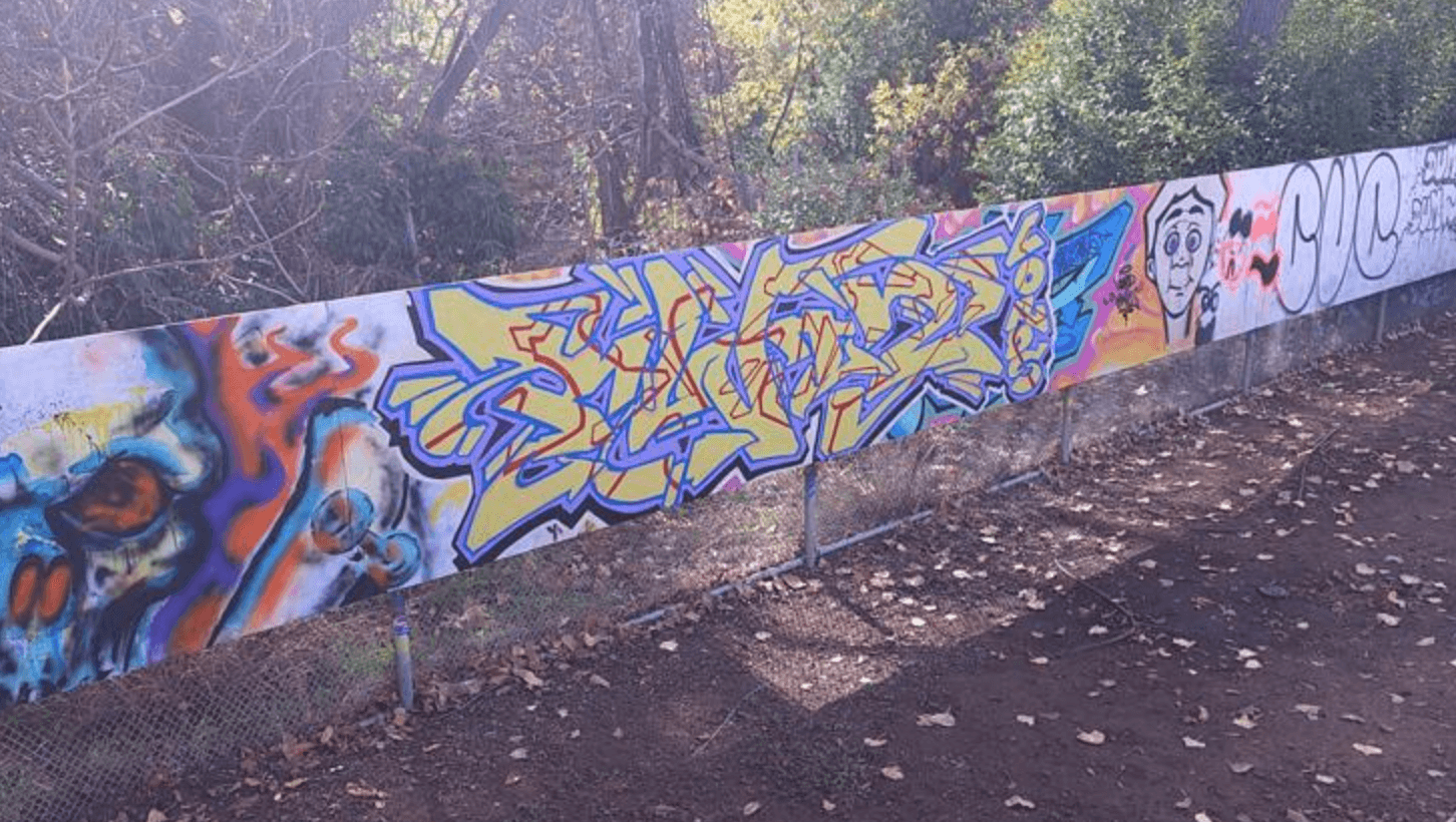 Humboldt Avenue Skate Park in Chico Clears Offensive Graffiti