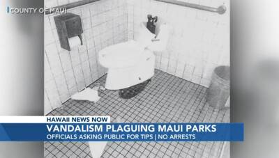 Vandalism Rampant in Maui County Parks