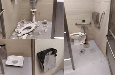 Smashed toilets 