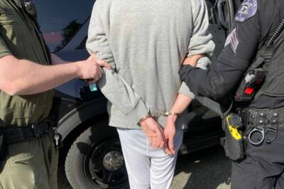 Arresting Vandals to Deter Crime